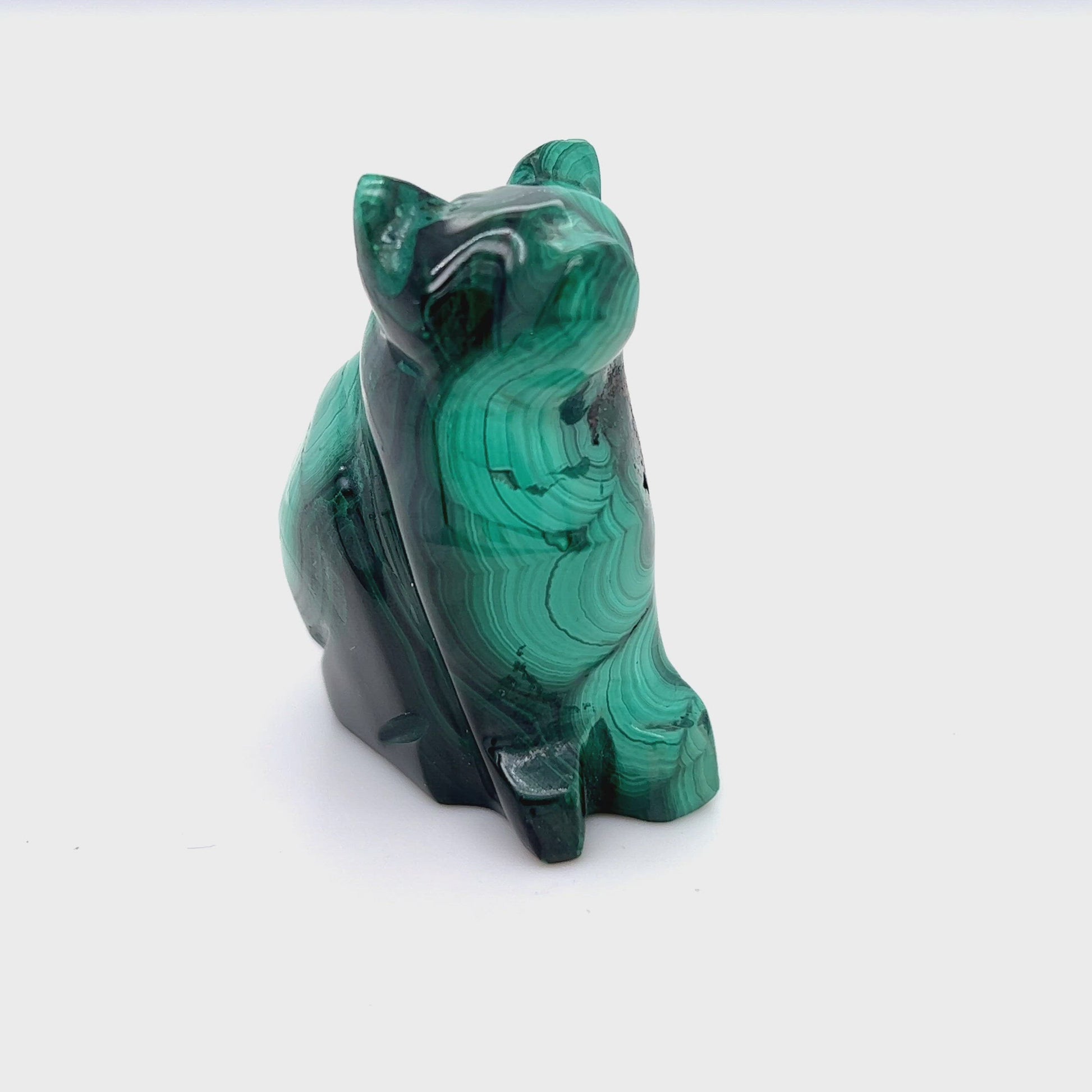 malachite cat carving__2022-06-16-13-19-38.mp4