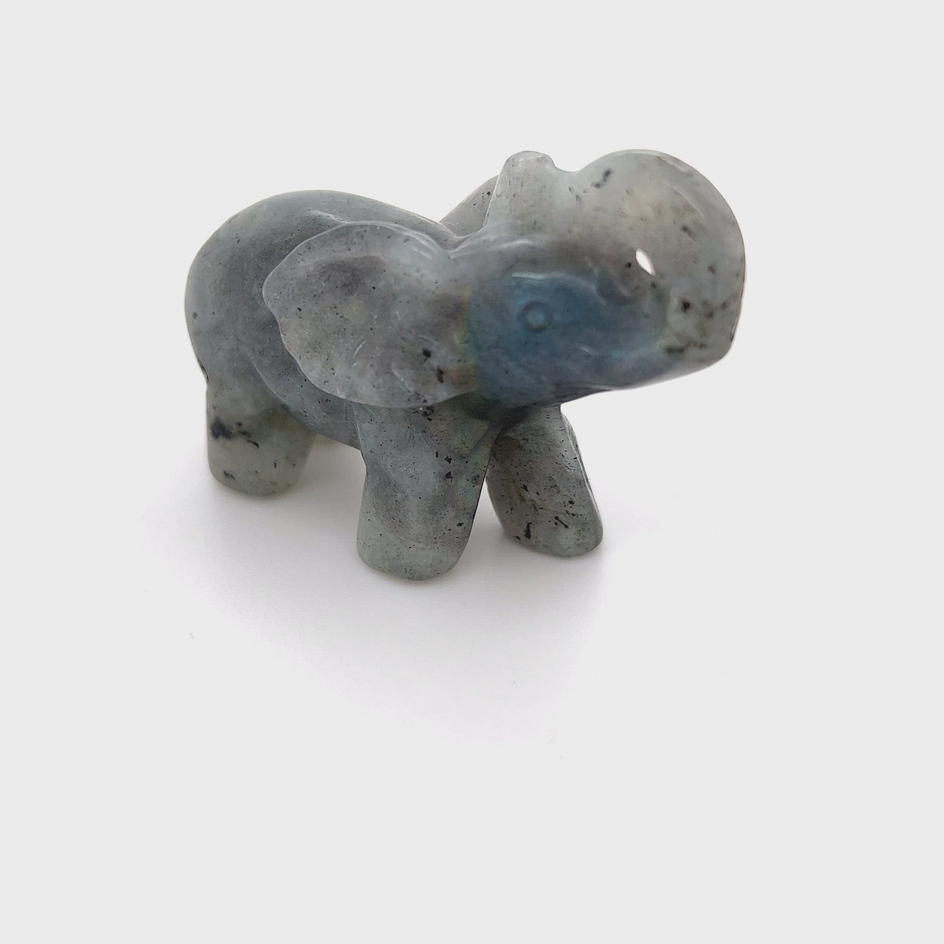 labradorite elephant with blue__2022-06-23-14-42-00.mp4