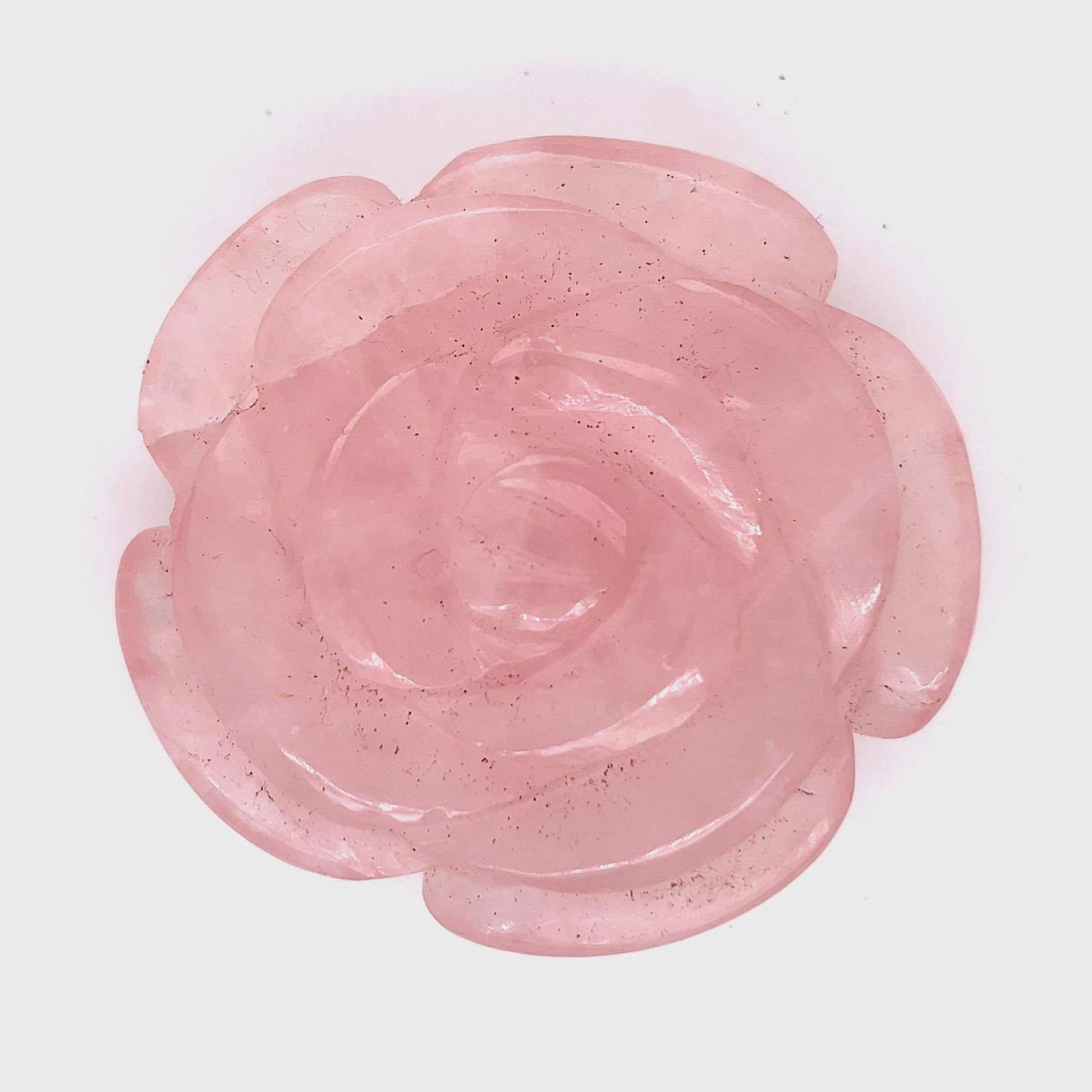 rose quartz roses__2022-06-16-13-37-46.mp4