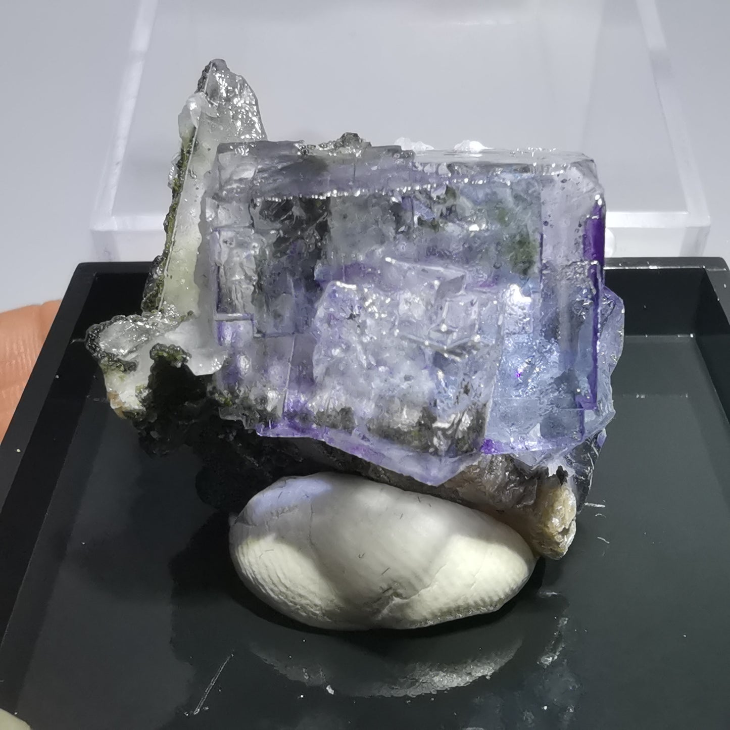 Purple Fluorite Specimen A7