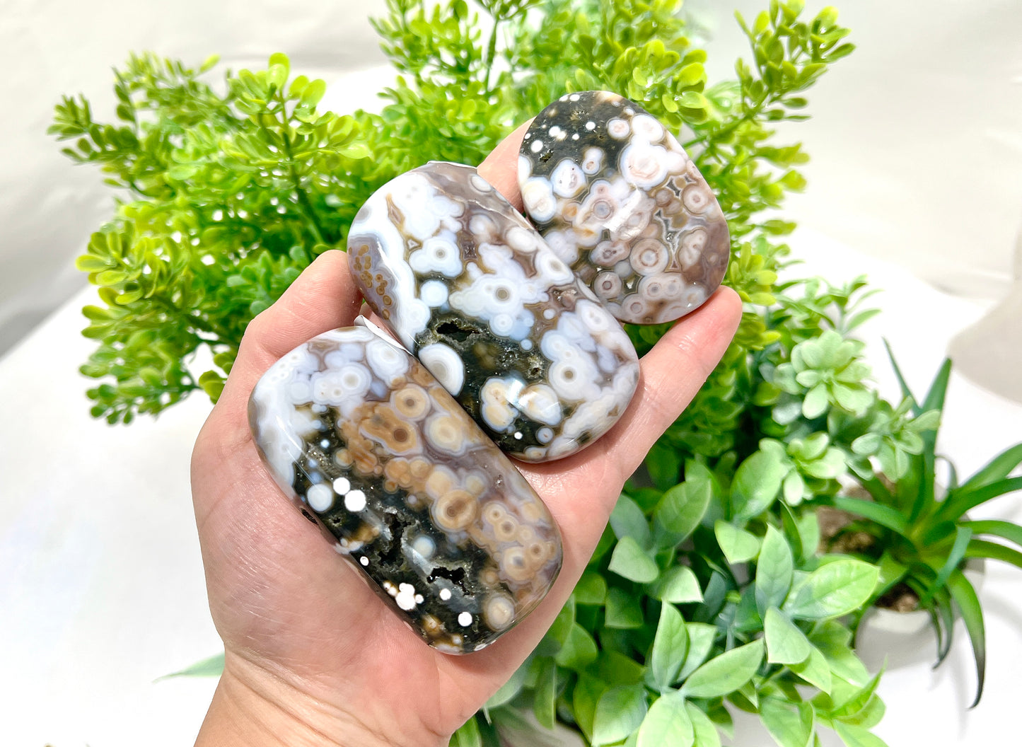 Rare Old Stock Ocean Jasper Palm Stone (Orbicular Jasper) - 2