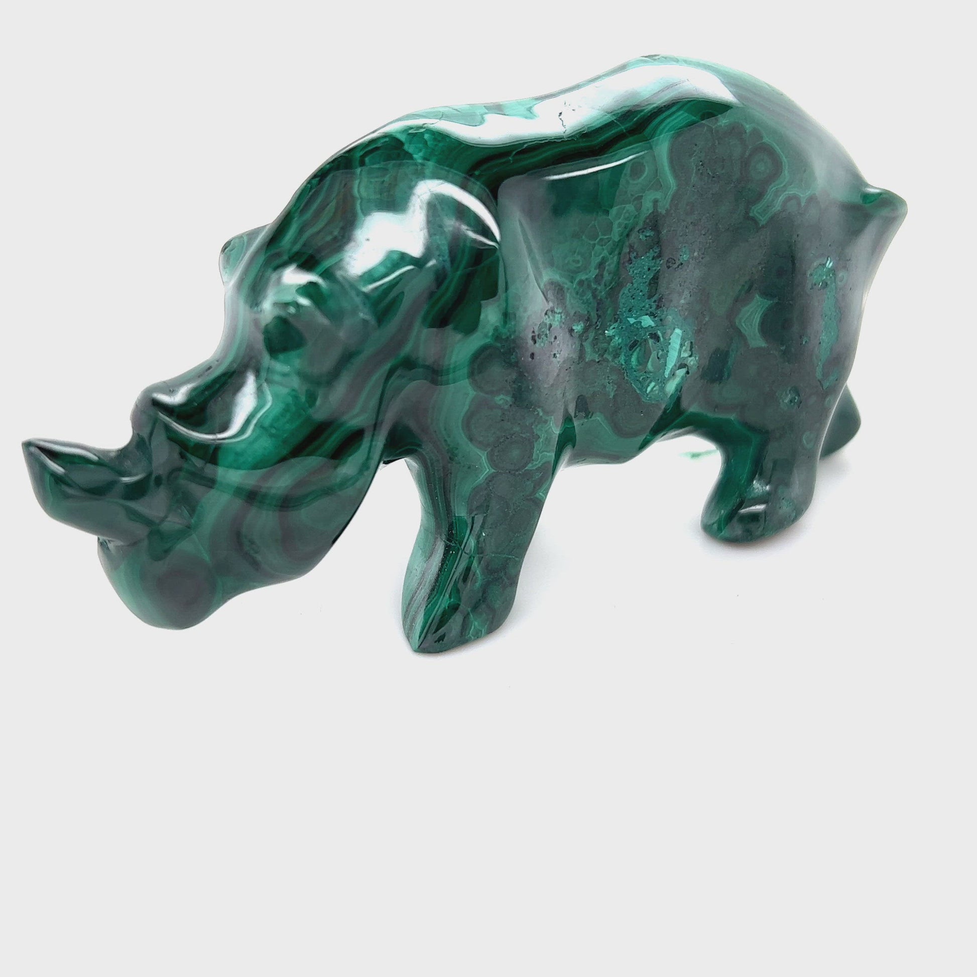 malachite rhino__2022-07-03-14-51-43.mp4