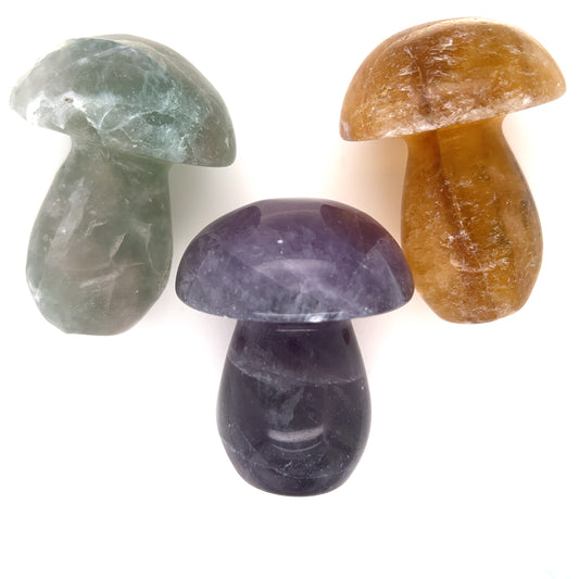 fluorite mushrooms__2022-06-16-13-44-11.jpg