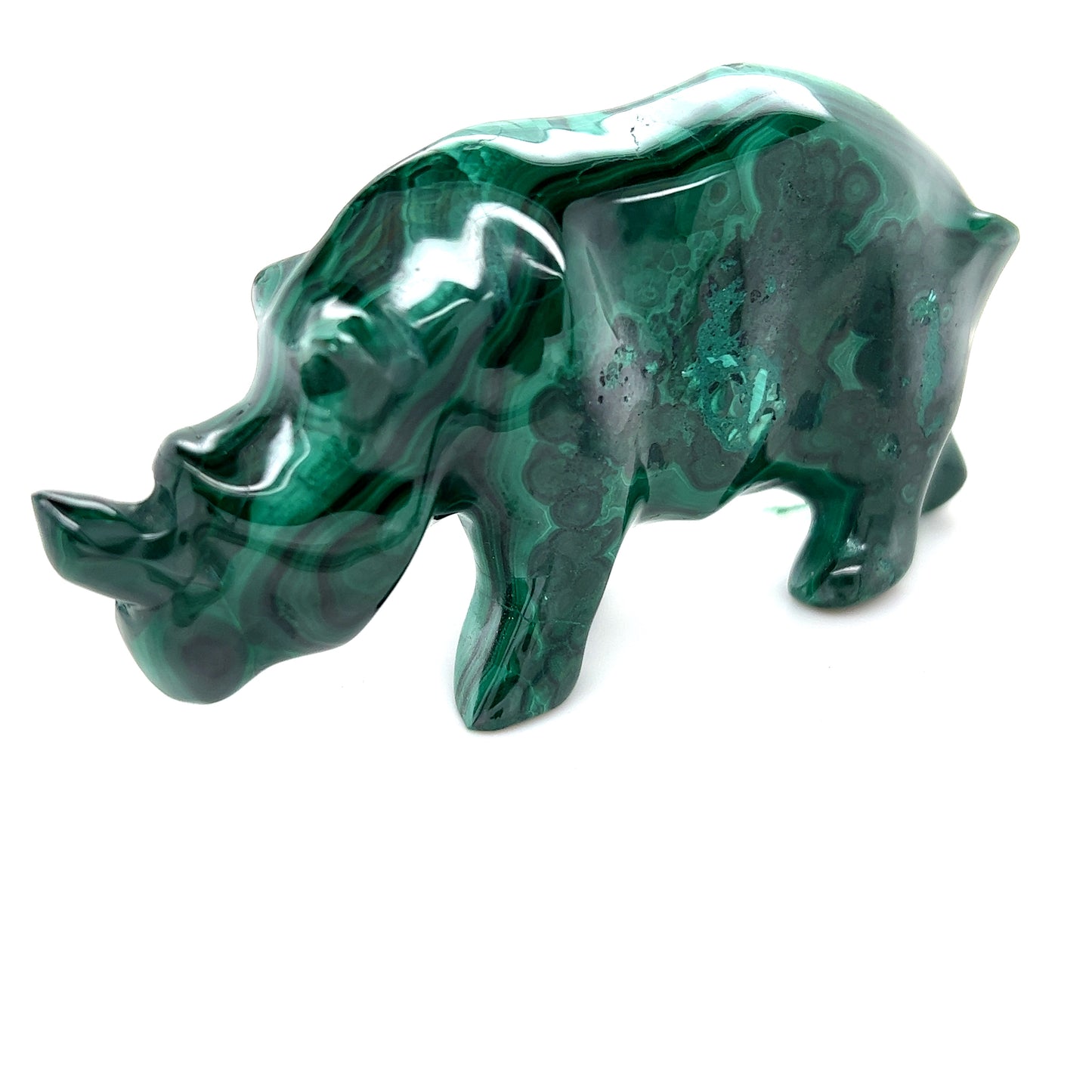 malachite rhino__2022-07-03-14-51-27.jpg